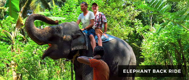 Elephant Back Ride