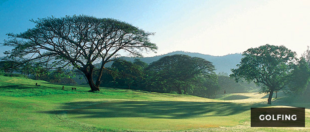 Golfing